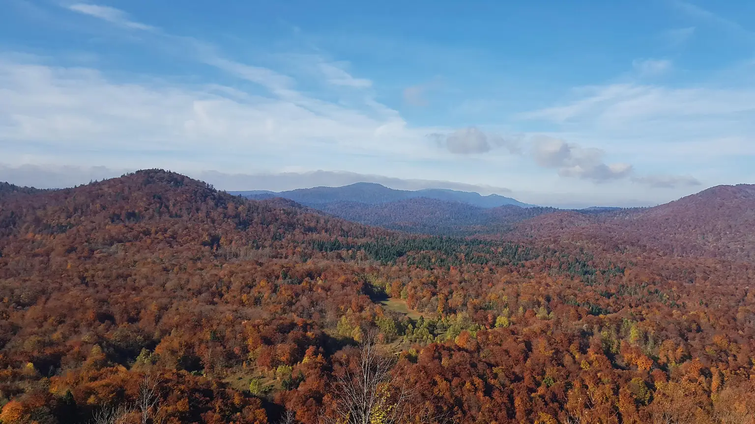 Modrus_Trzan-grad_10