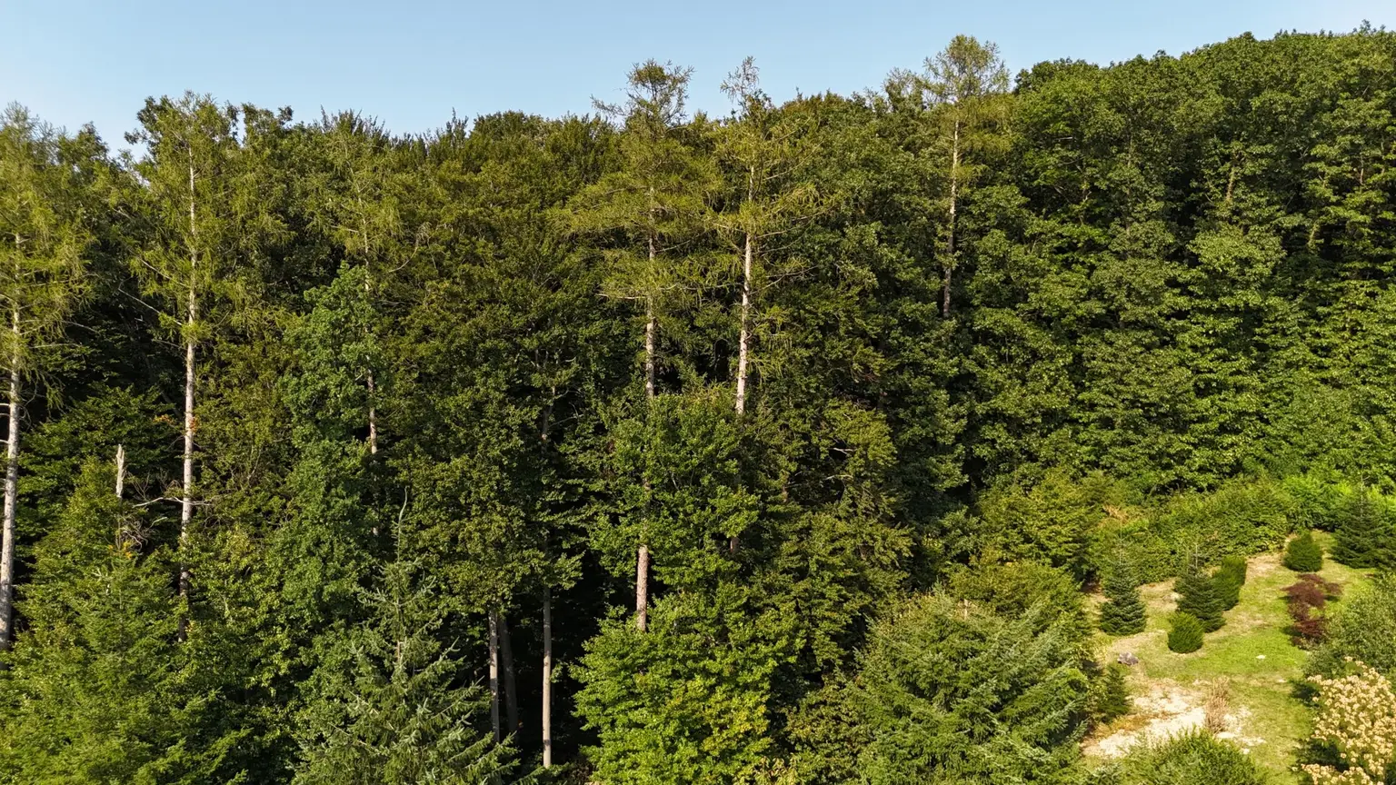 "Exklusive Residenz mit Wald!"