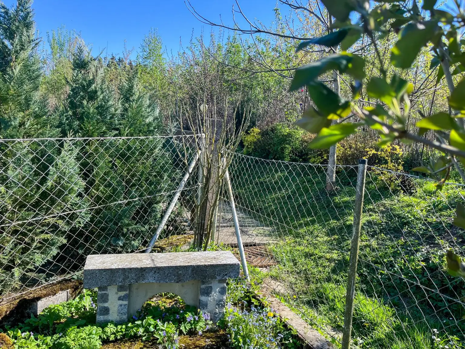 Gartenbereich