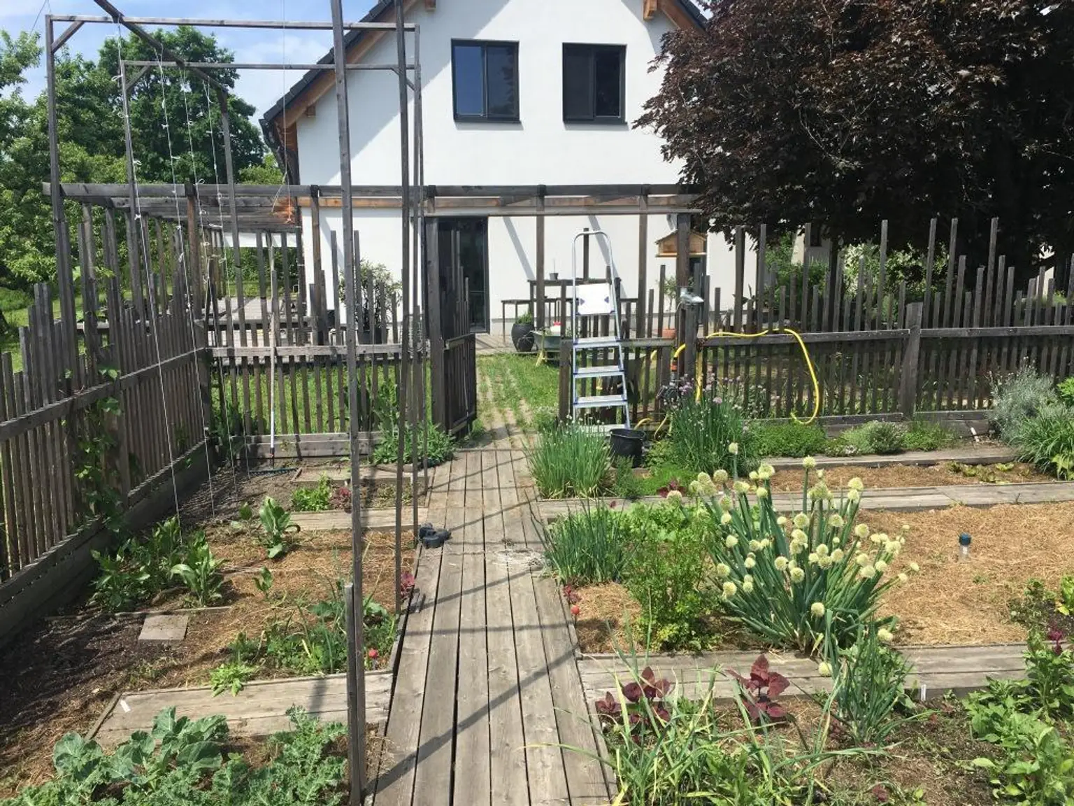 Gemüsegarten