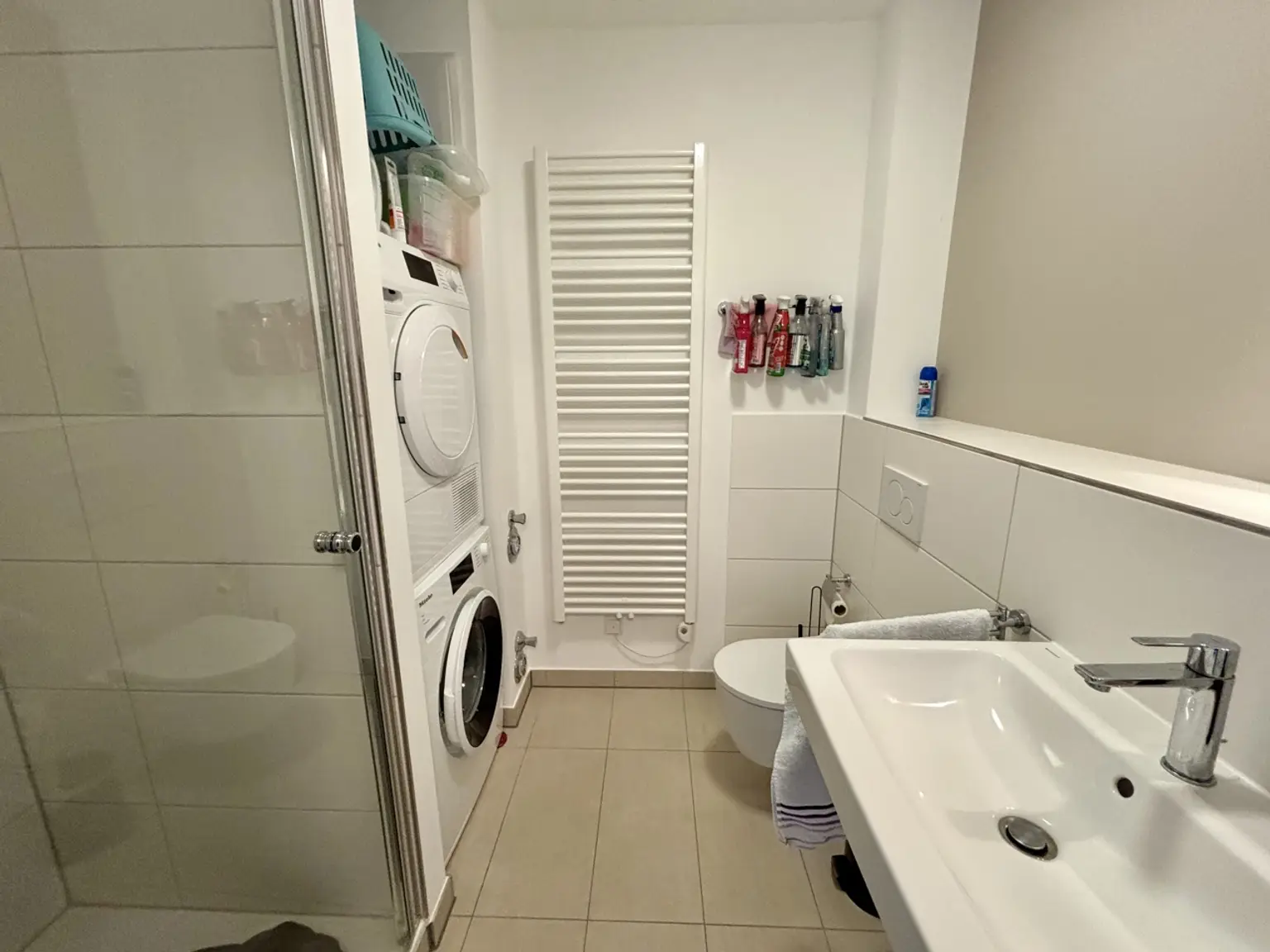 Gäste-WC/Duschbad