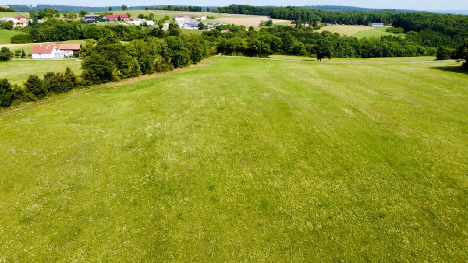 Grundstück mit Baumbestand für landwirtschaftliche Zwecke | 60.053 m² | Schwarzenbach in der Buckligen Welt
