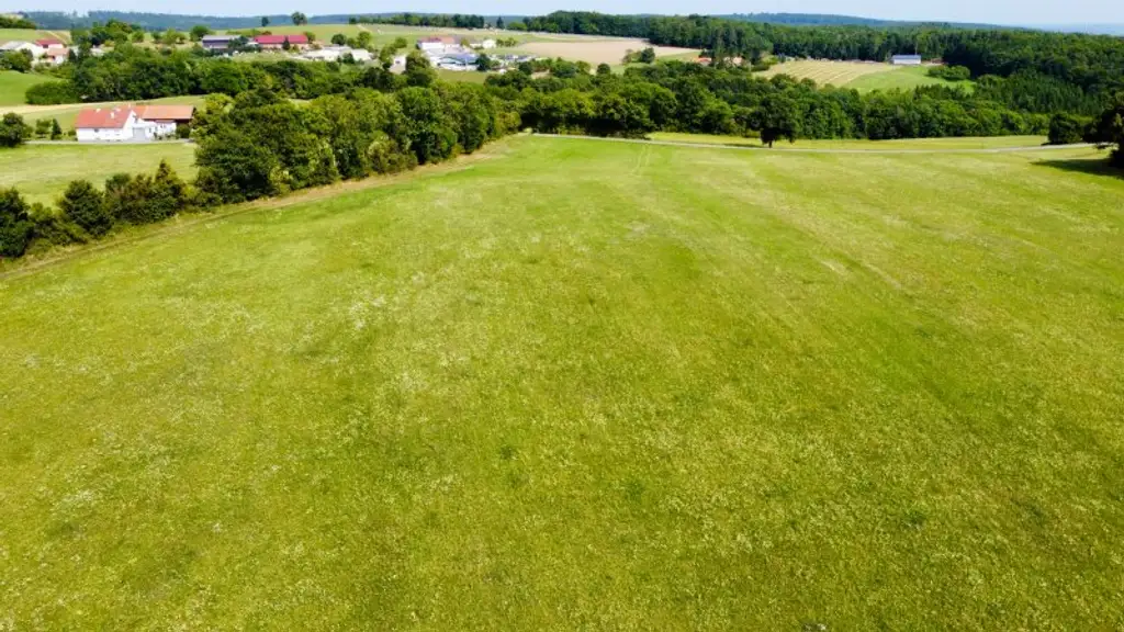 Grundstück mit Baumbestand für landwirtschaftliche Zwecke | 60.053 m² | Schwarzenbach in der Buckligen Welt
