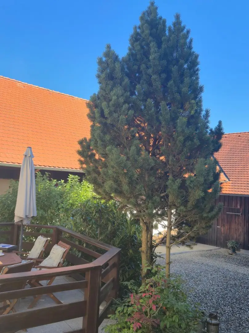 Wunderschöner Dreikanthof in Ruhelage mit Reithalle