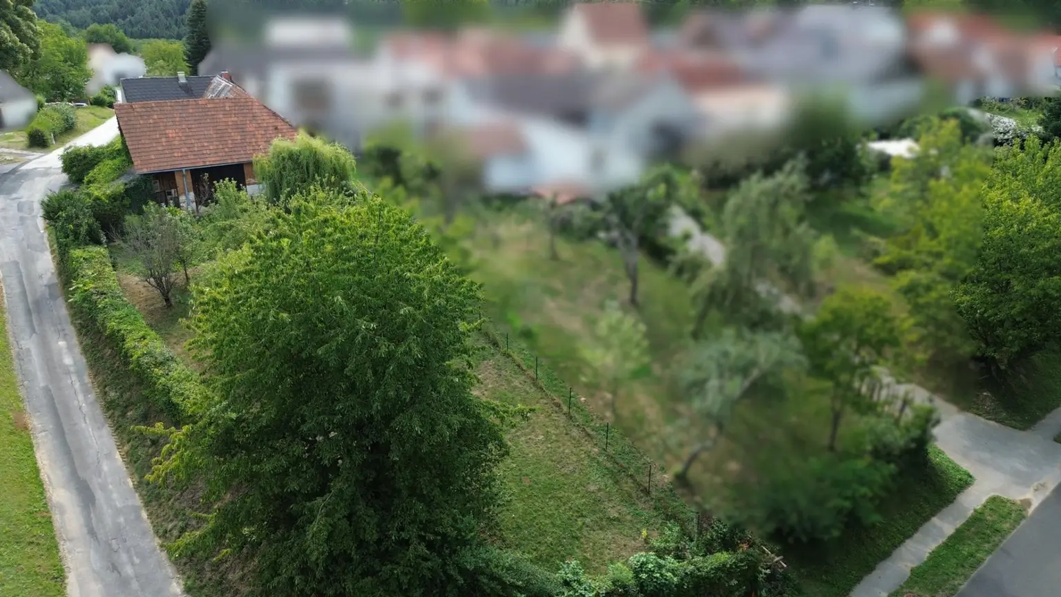 Drohnenbild Garten