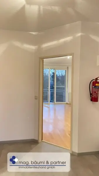 Frisch renovierte 2 Zimmerwohnung mit  Balkon