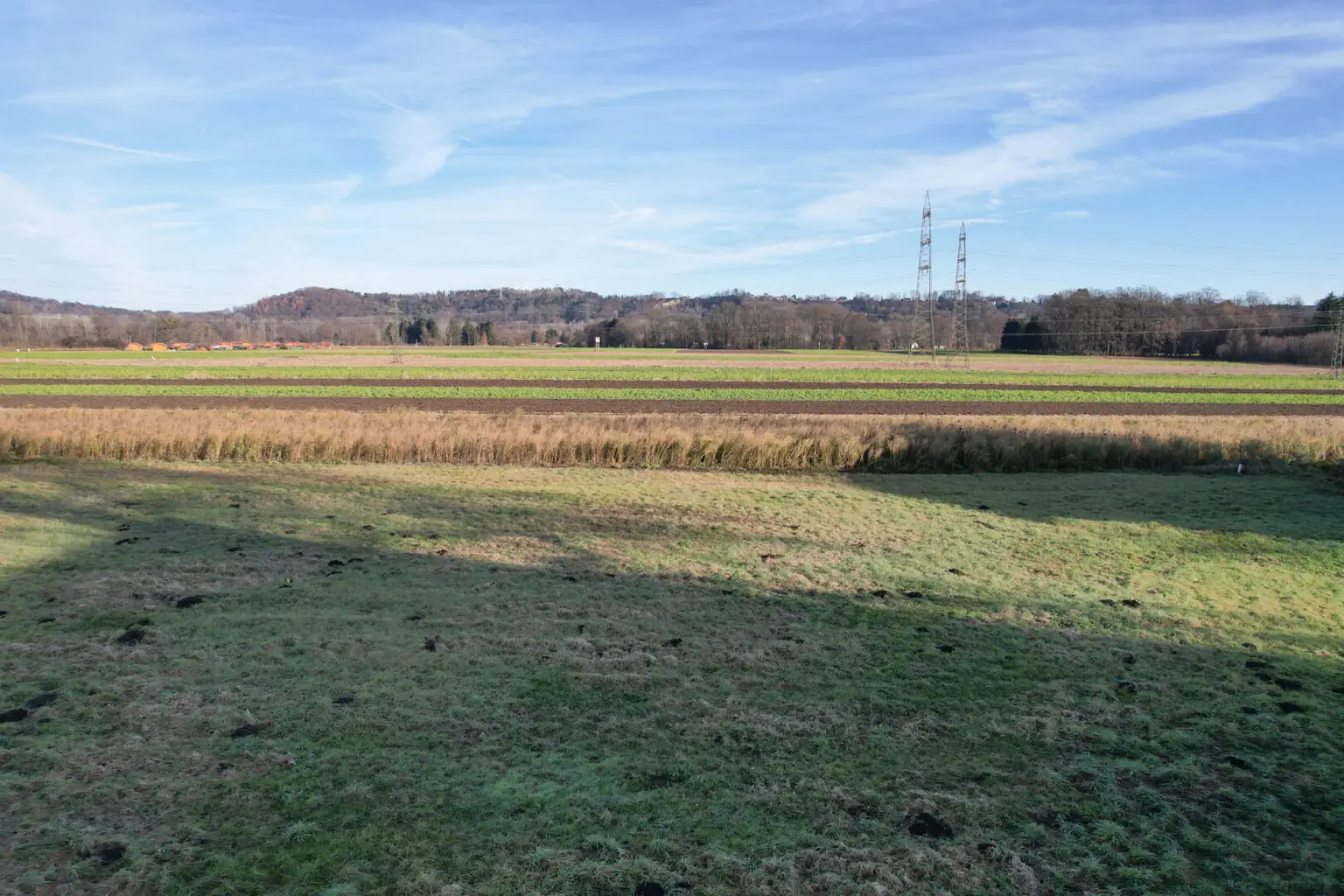 Exklusive Häuser in idyllischer Naturkulisse - Wohnen am Winklacker