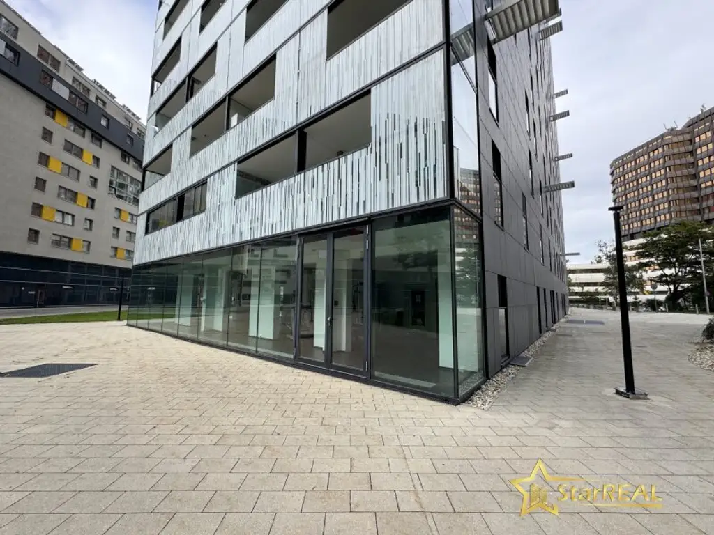 20. STOCK! TOP-WOHNUNG IM DELUGAN MEISSL TOWER. GARAGENPLATZ VORHANDEN. Sauna und Fitnessraum im Haus.