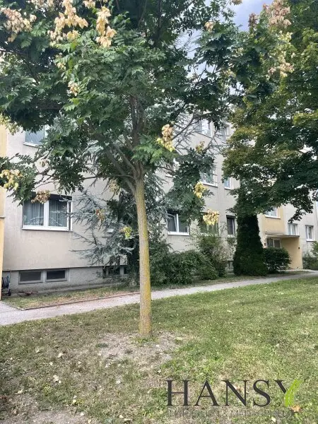 Traumhafte 3-Zimmer-Wohnung in Gumpoldskirchen – Loggia neu saniert! Jetzt zuschlagen!