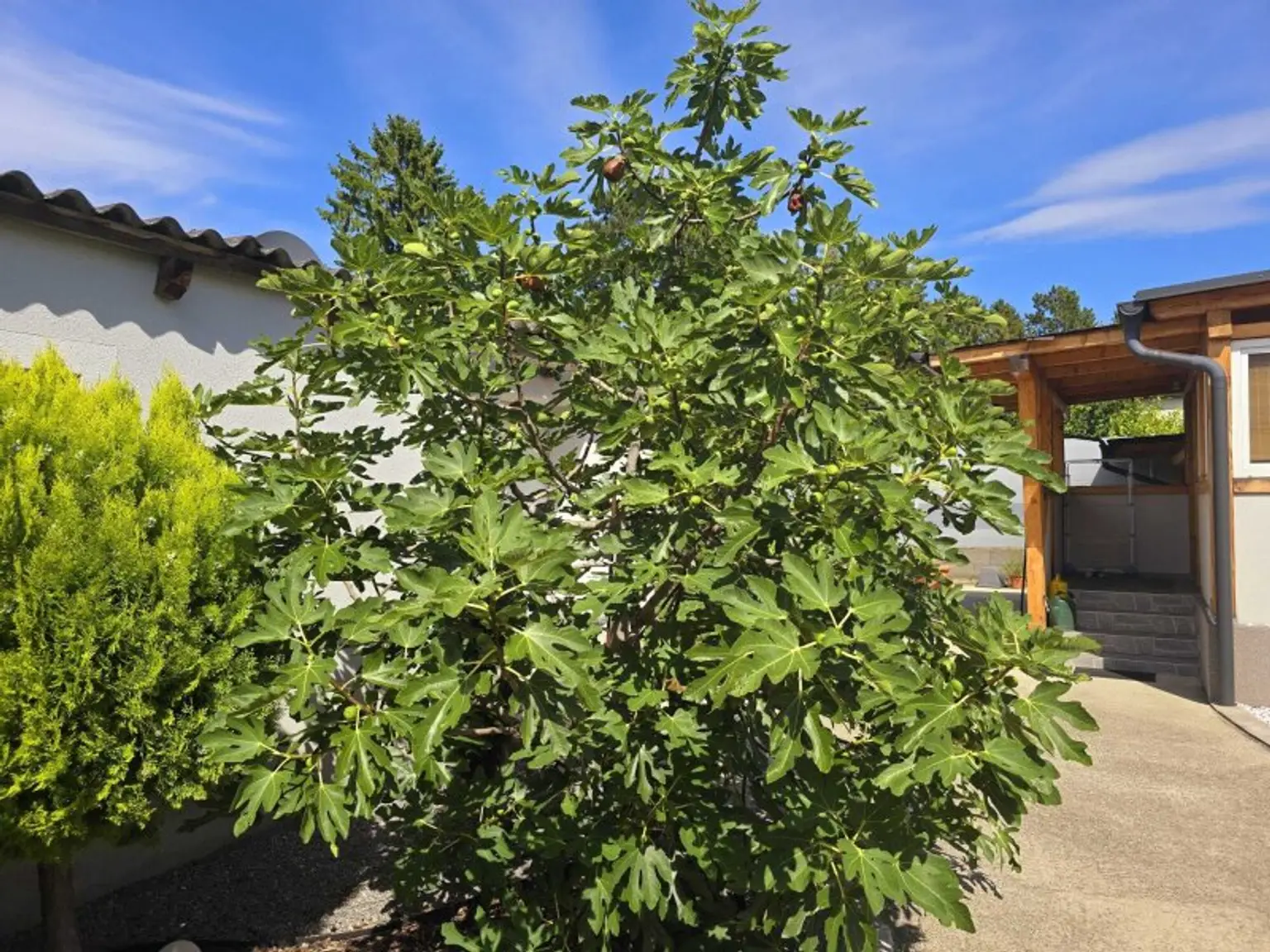 Charmantes Einfamilienhaus 125m² wohnfl. mit 791m²  Garten und überdachte Terrasse und Kaminanschluss in Leobersdorf – S-Bahn in der Nähe!