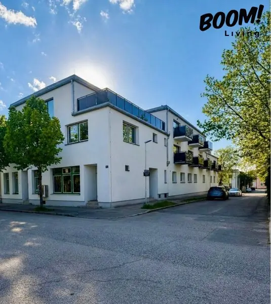 Neubau Projekt