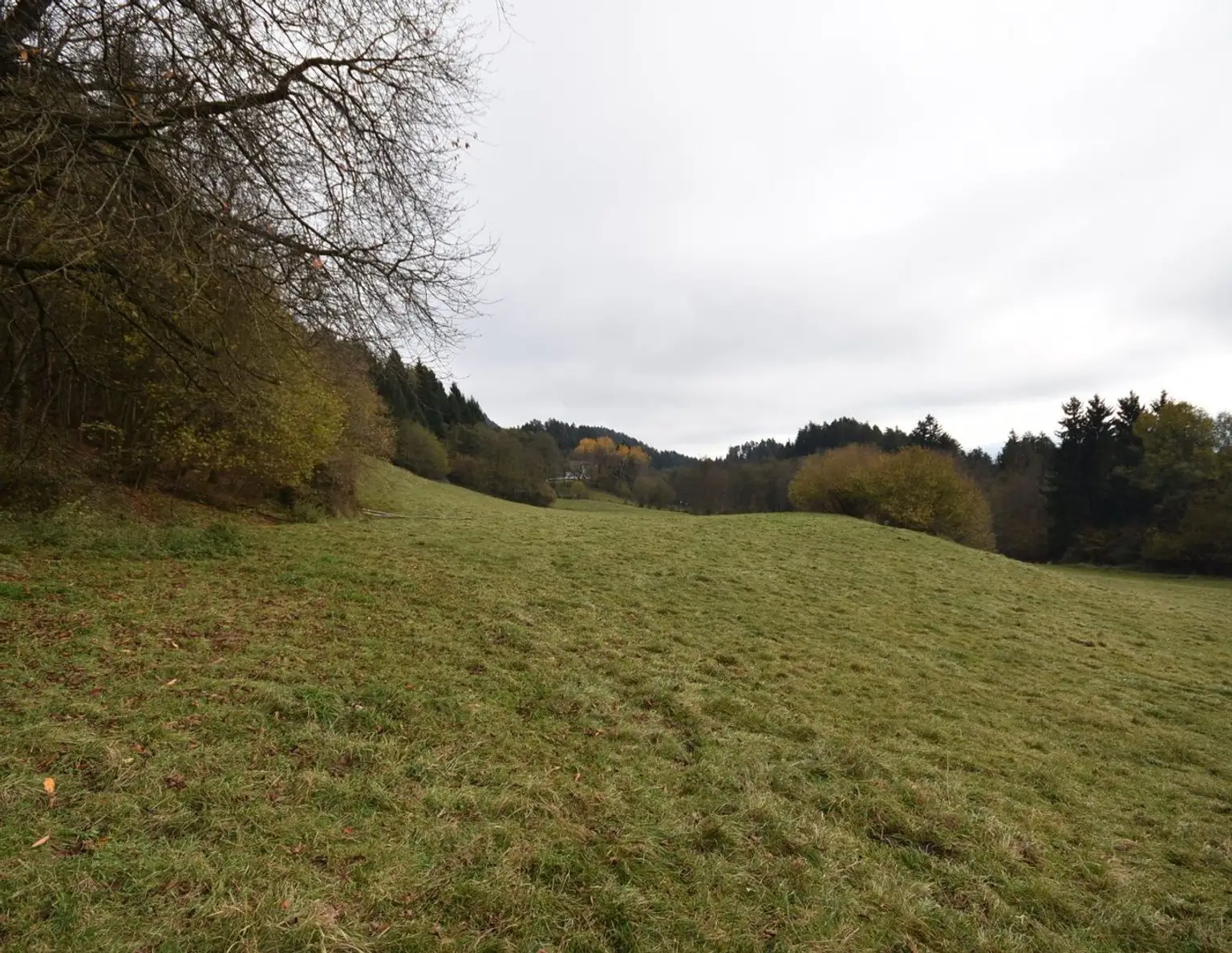 Exklusives Anwesen mit Seezugang in Kärnten - Land-, Forstwirtschaft und Luxus vereint