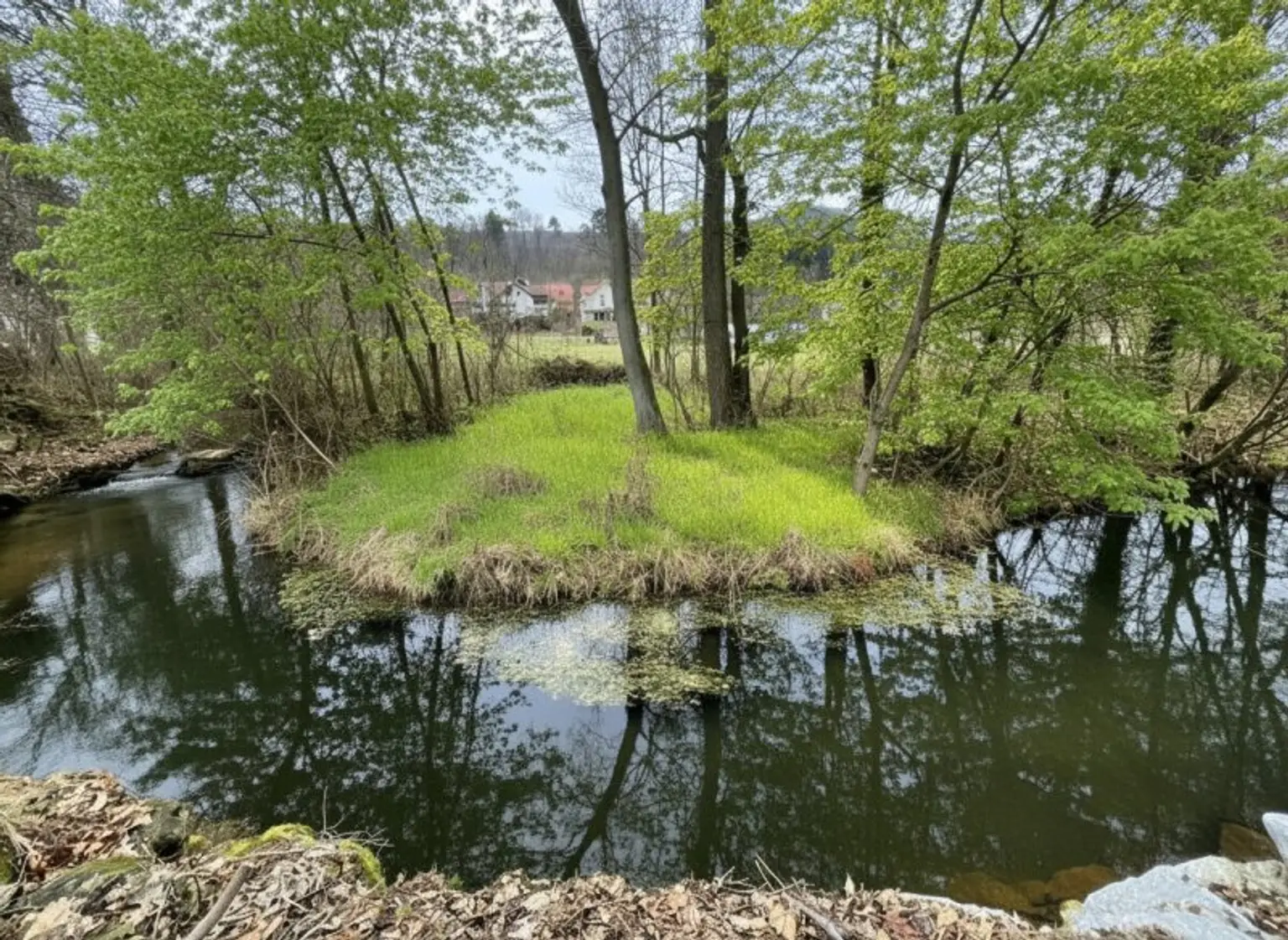 Familienhit mit Charme zum Toppreis (!) - gut geschnittene Doppelhaushälfte mit Garten & Pool in Gaaden