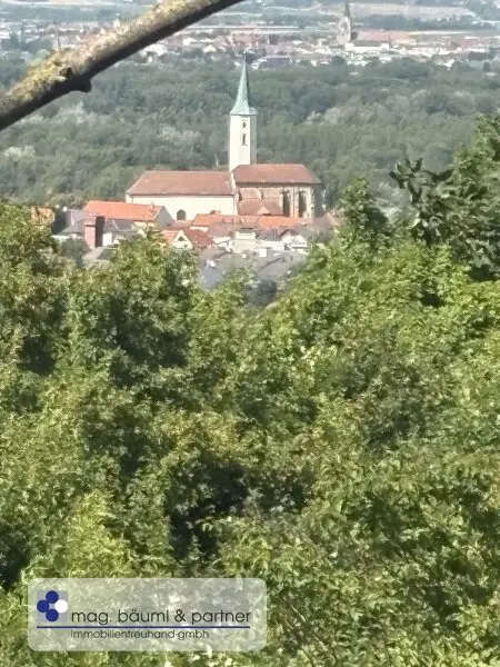 Grünland  mit Zufahrt und  Aussicht