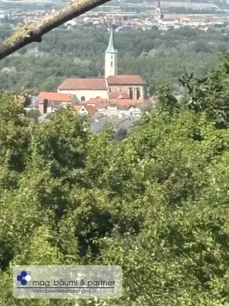 Grünland  mit Zufahrt und  Aussicht