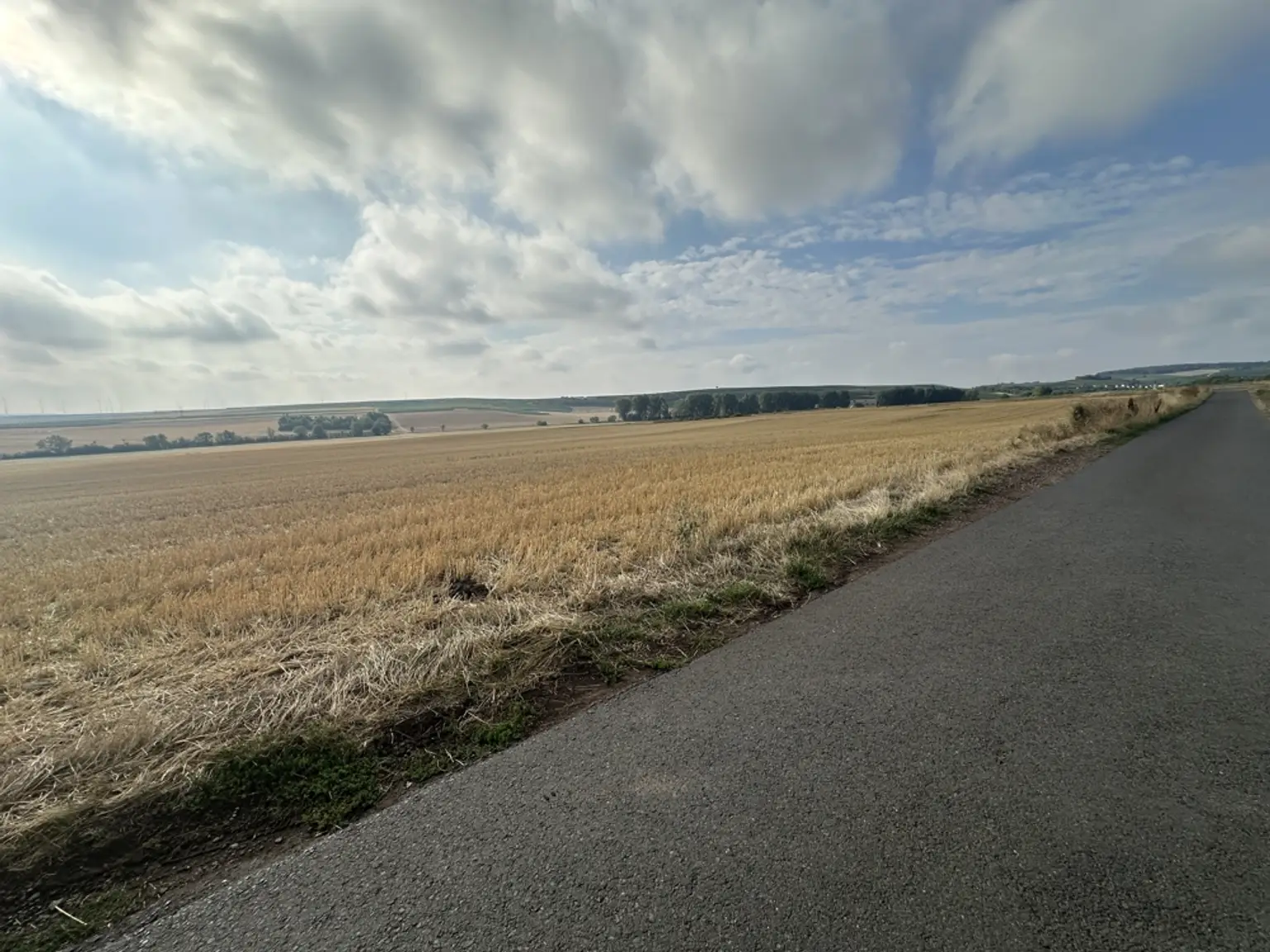 Ausblick