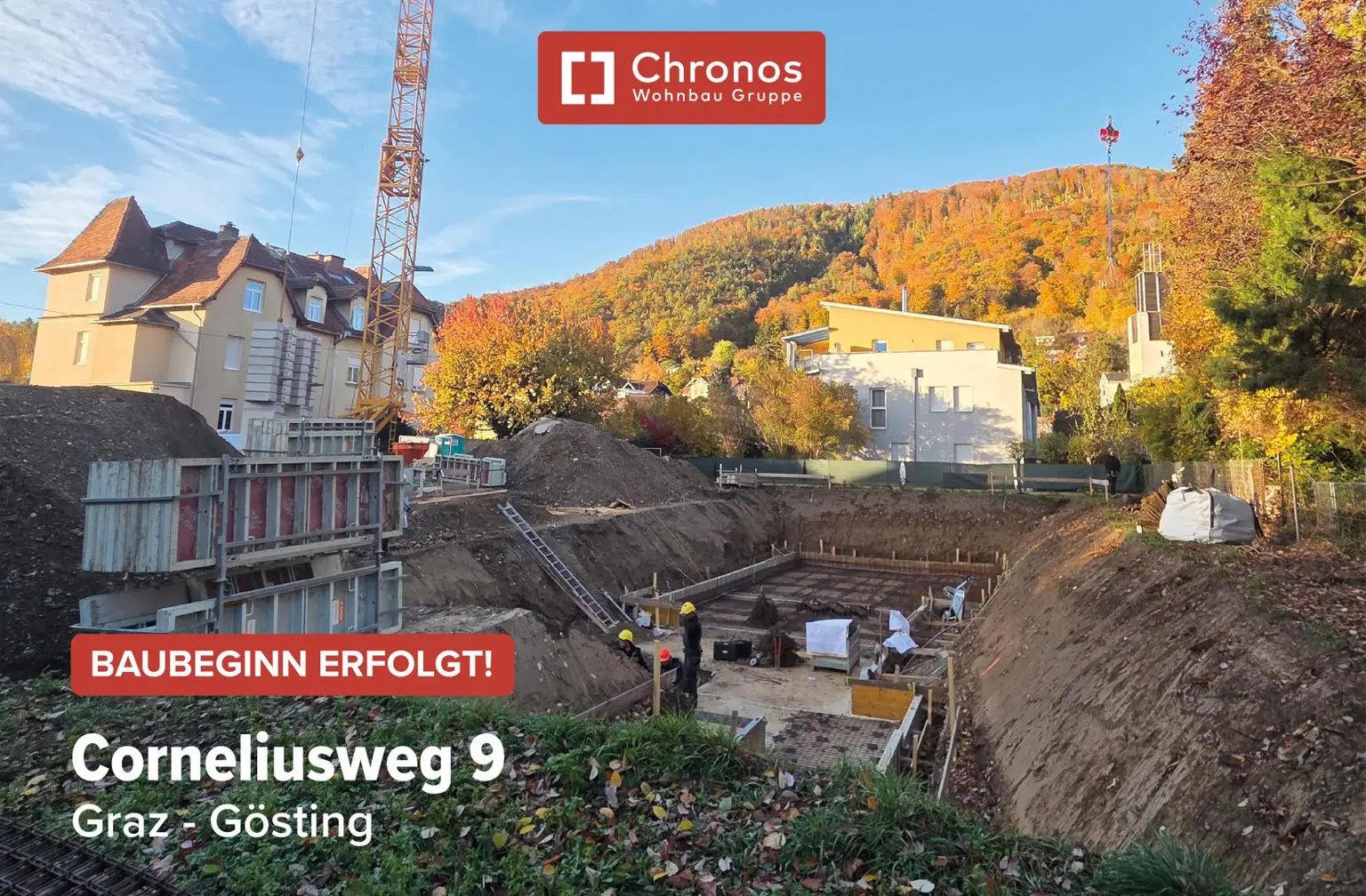 project-cw9-bild10-will