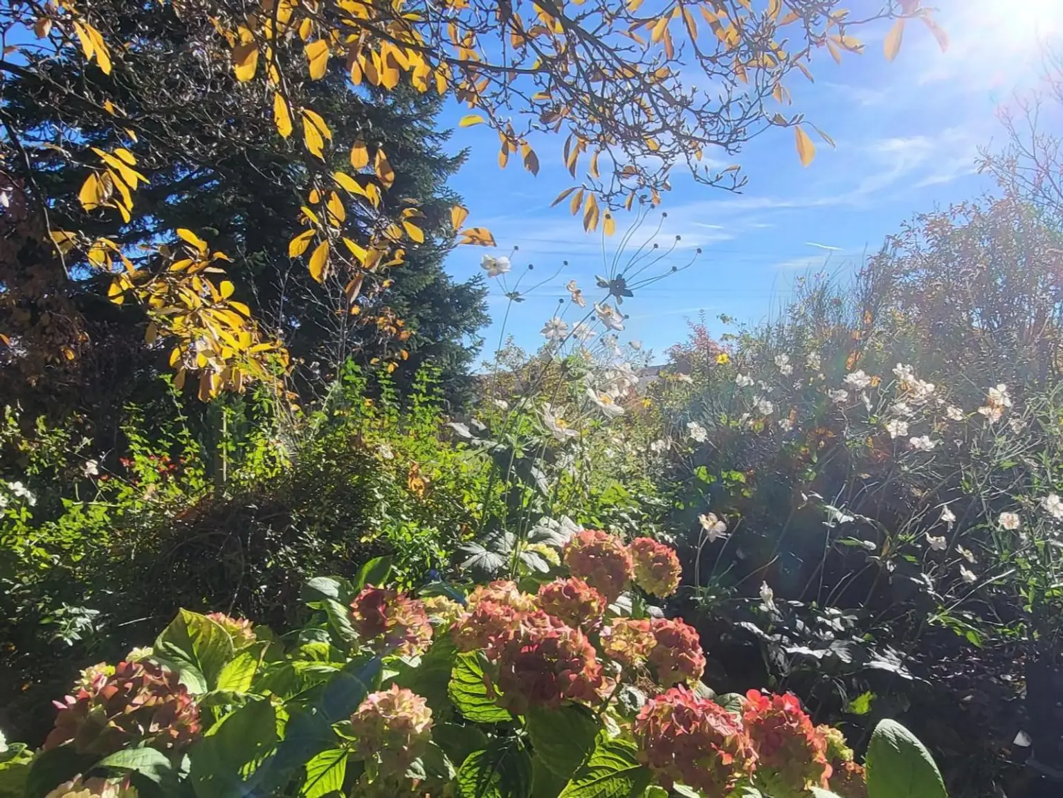MASSIVHAUS MIT IDYLLISCHEM GARTEN IN SCHÖNER HÖHEN-AUSSICHTSLAGE