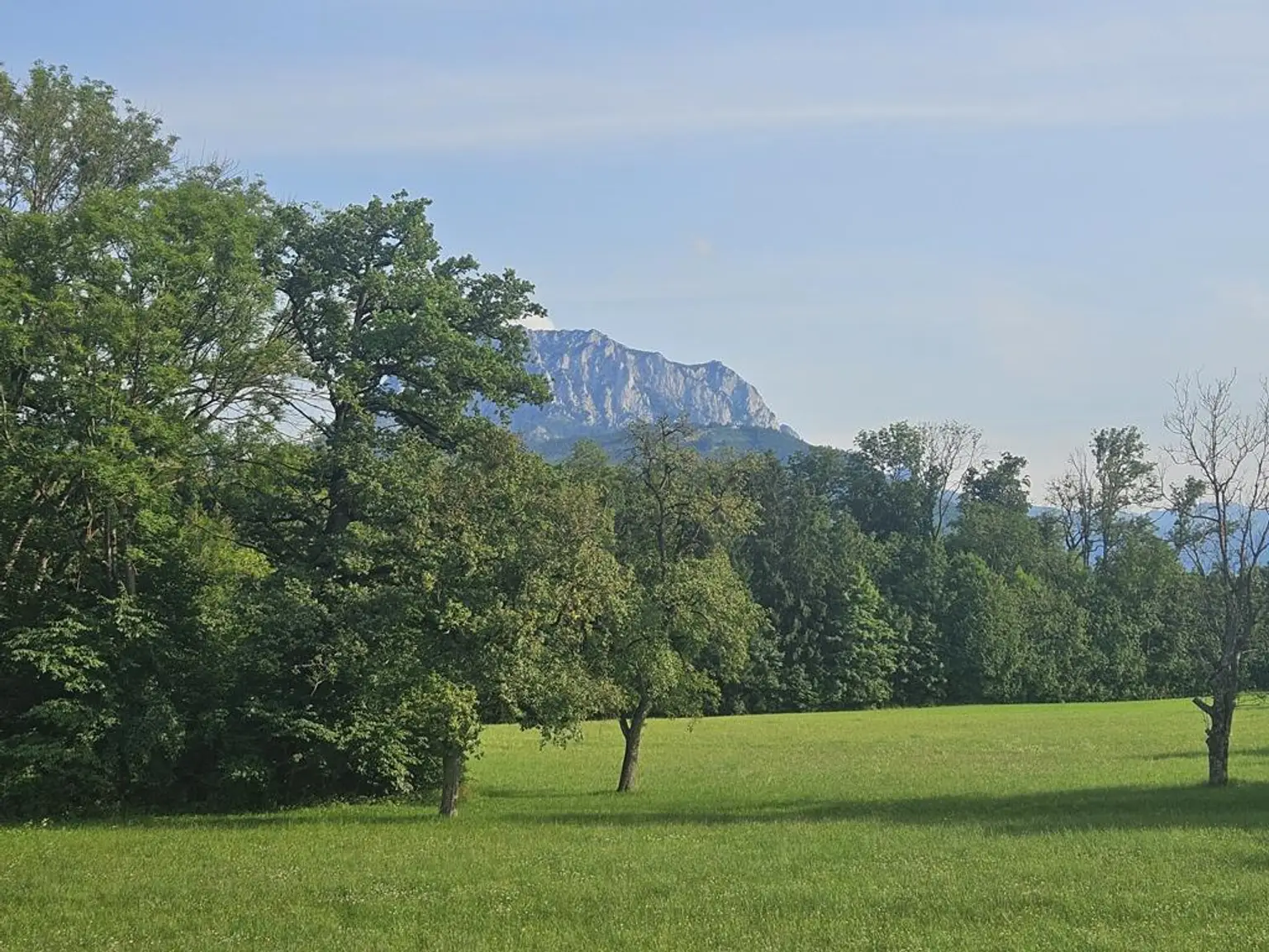 Provisionsfrei! Neubauprojekt Holzhäuseln: leistbare 75m² ETW mit Garten in Waldrandlage mit Traunsteinblick