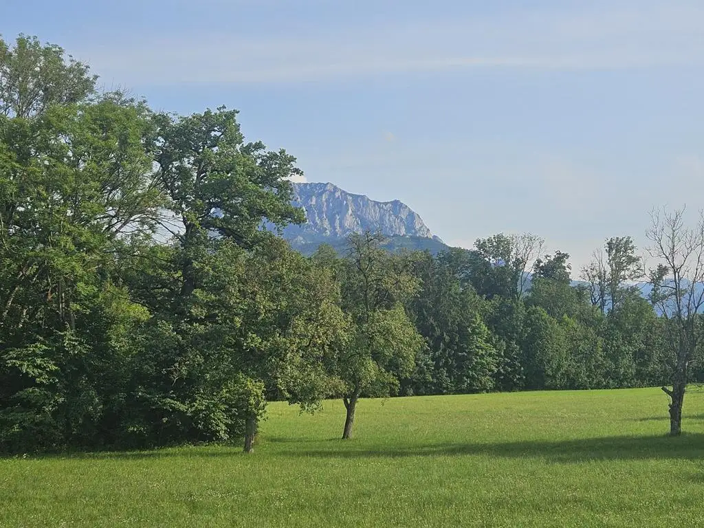 Provisionsfrei! Neubauprojekt Holzhäuseln: leistbare 75m² ETW mit Garten in Waldrandlage mit Traunsteinblick