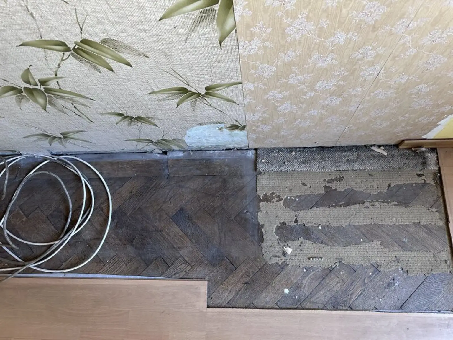3 Zimmer mit Grünblick + U3 Braunschweiggasse