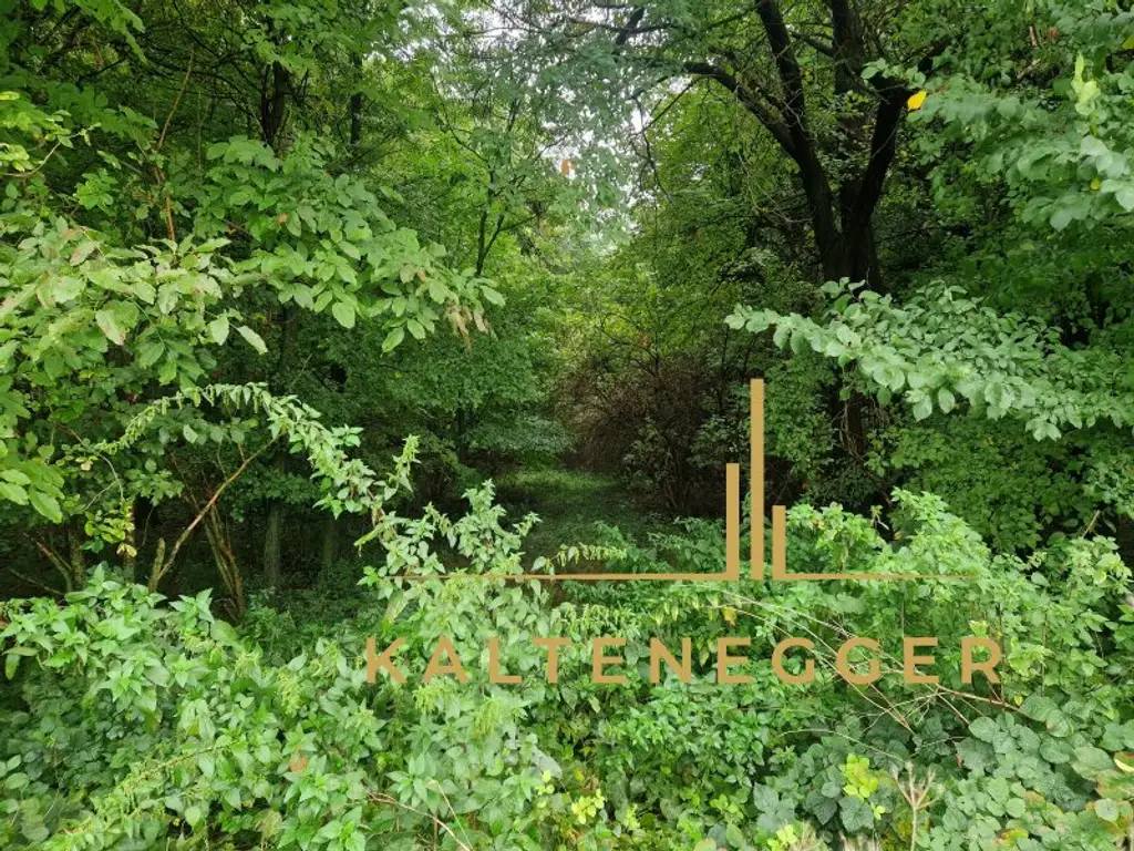Einzigartiges Grundstück mit wunderschöner Naturverbundenheit in Pöttsching