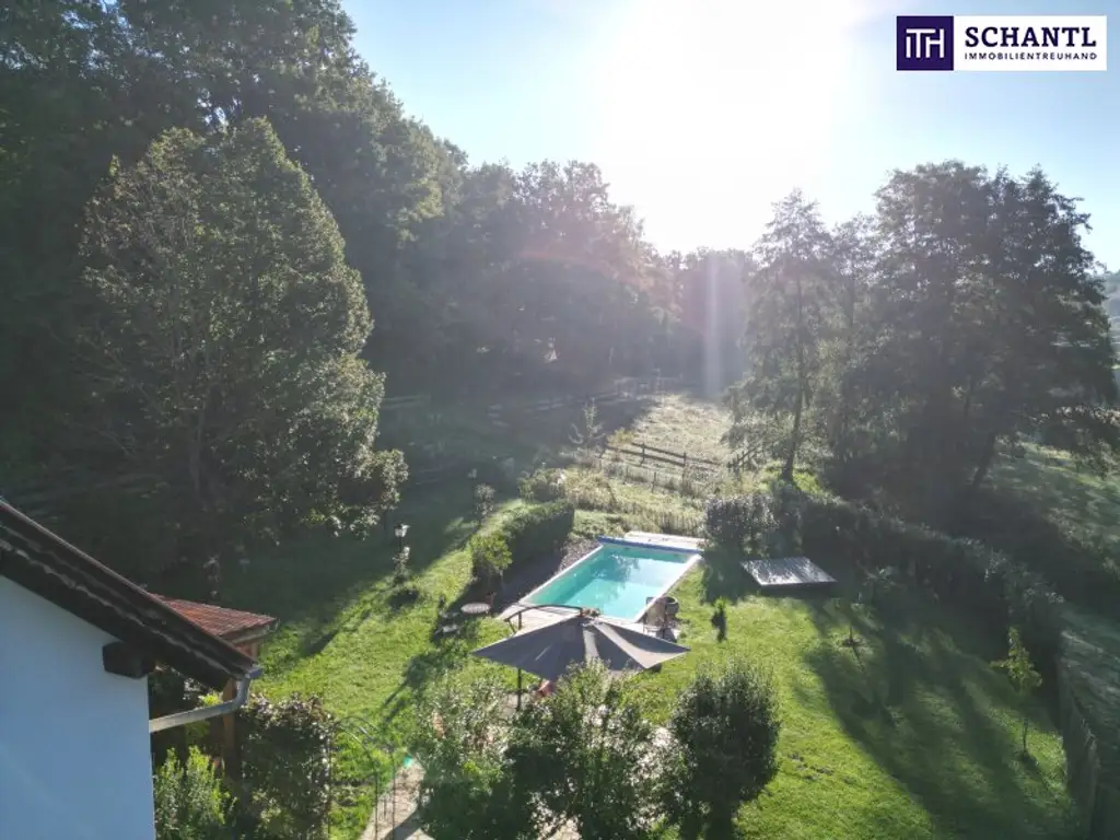 SENSATIONELLES JUWEL! Exklusiver Vierkanthof im Thermenland Steiermark – Wohnen, Reiten & Leben mit Pool und Natur!