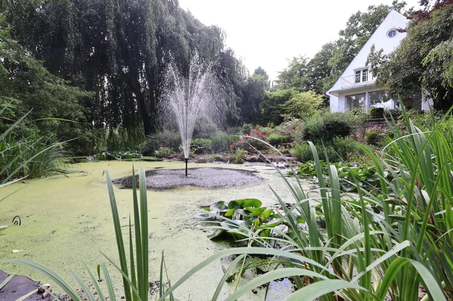 Springbrunnen