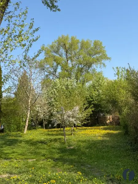 Naturrefugium an der Donau - Ihr Rückzugsort am linken Donauufer