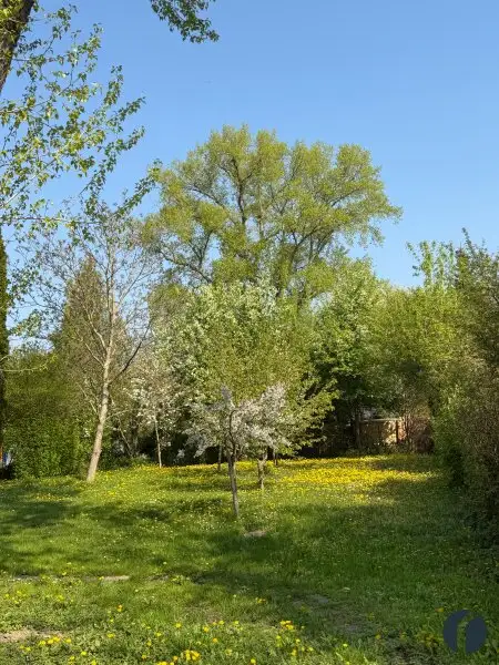 Naturrefugium an der Donau - Ihr Rückzugsort am linken Donauufer