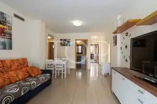 2 + 2 (14)