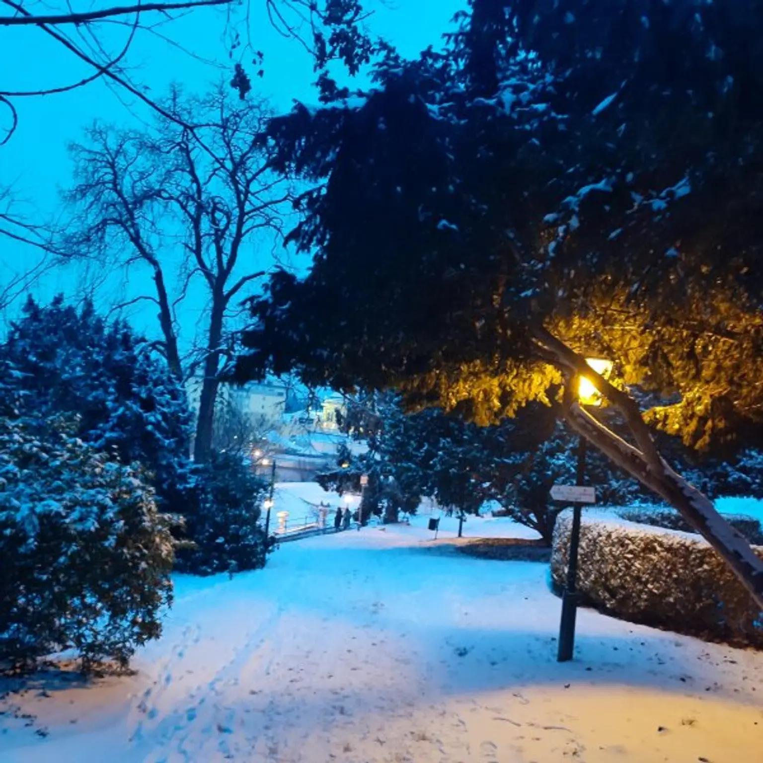 Kurpark in Abendstimmung