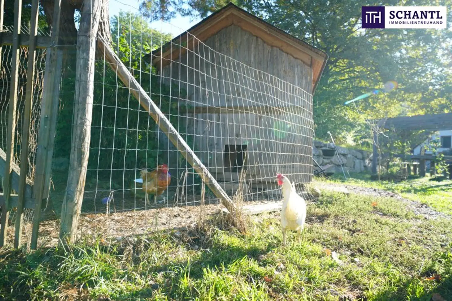 SENSATIONELLES JUWEL! Exklusiver Vierkanthof im Thermenland Steiermark – Wohnen, Reiten & Leben mit Pool und Natur!