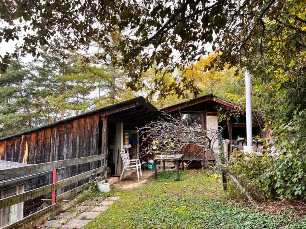 Selbstversorger Hof für die ganze Familie in ruhiger Lage und tollem Fernblick!