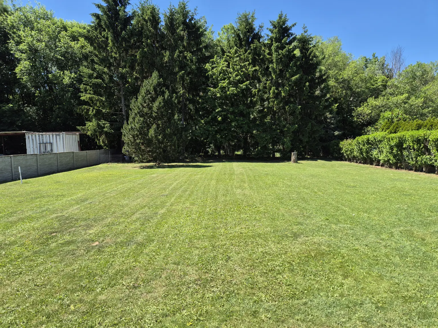 Garten 1