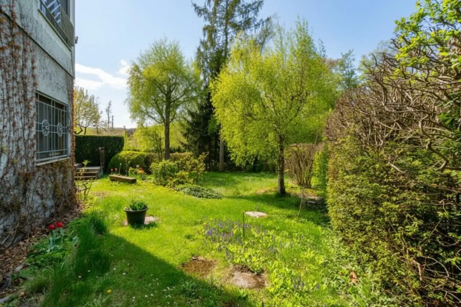 wunderschöner Garten