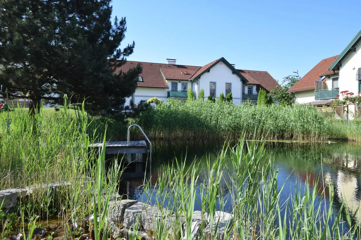 Schwimmteich