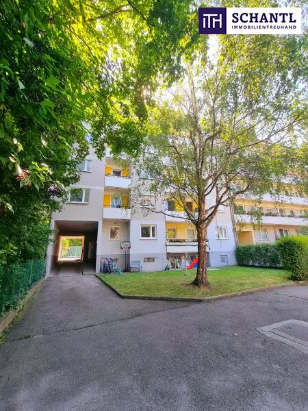 Sackgasse? Ja bitte - hier endet der Stress! 4-Zimmer Neubauwohnung + Absolute Ruhelage + Hofseitige Loggia mit Blick ins Grüne + Gepflegte Wohnhausanlage! Worauf warten Sie?