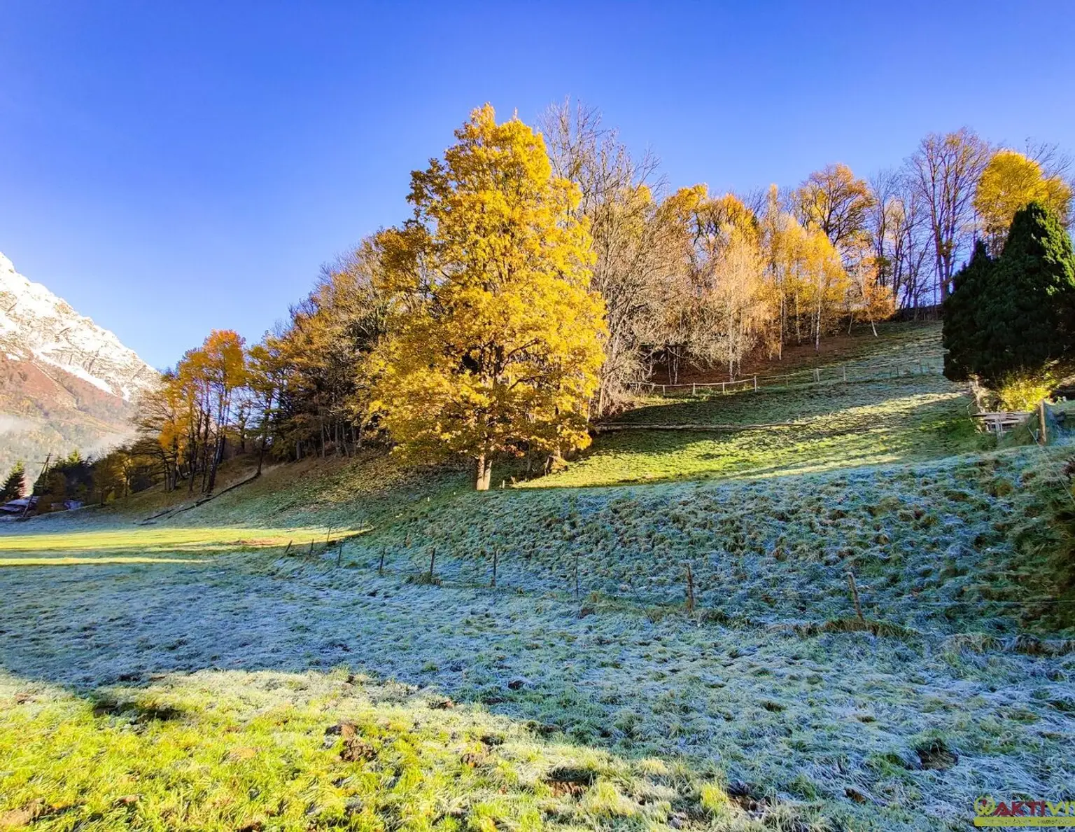 Wohnen in Ruhelage: Baugrundstück mit guter Infrastruktur in Niederöblarn.