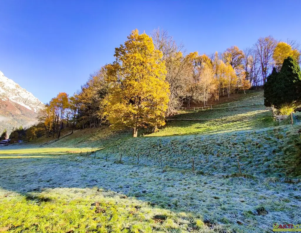 Wohnen in Ruhelage: Baugrundstück mit guter Infrastruktur in Niederöblarn.