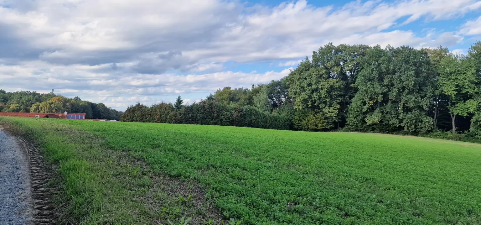Grundstück für Bauträger oder Sport- und Thermenprojekt. Raum für Ihre Vision.
