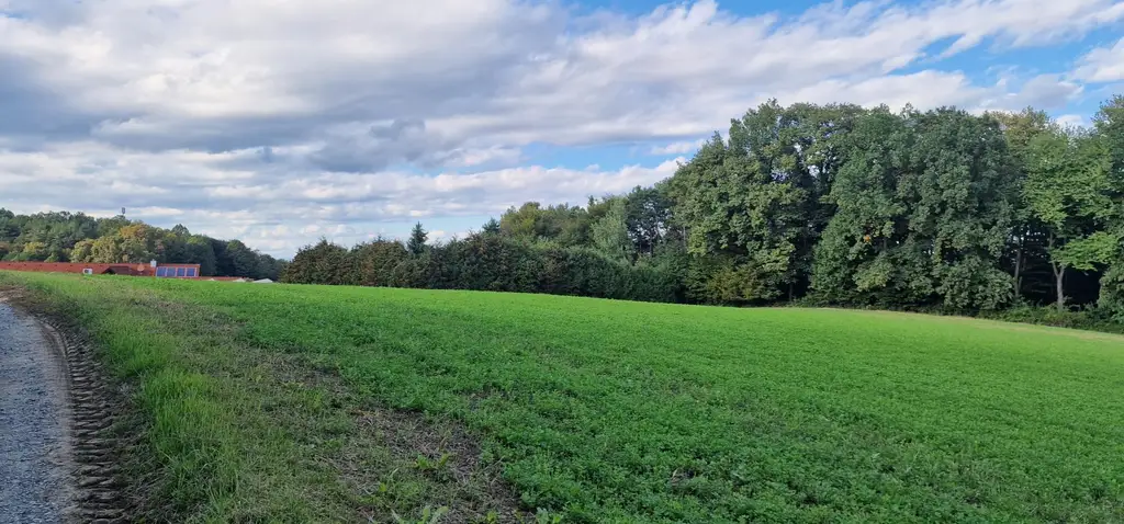 Grundstück für Bauträger oder Sport- und Thermenprojekt. Raum für Ihre Vision.