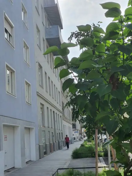 BALKONWOHNUNG mit Potenzial in verkehrsberuhigter Lage