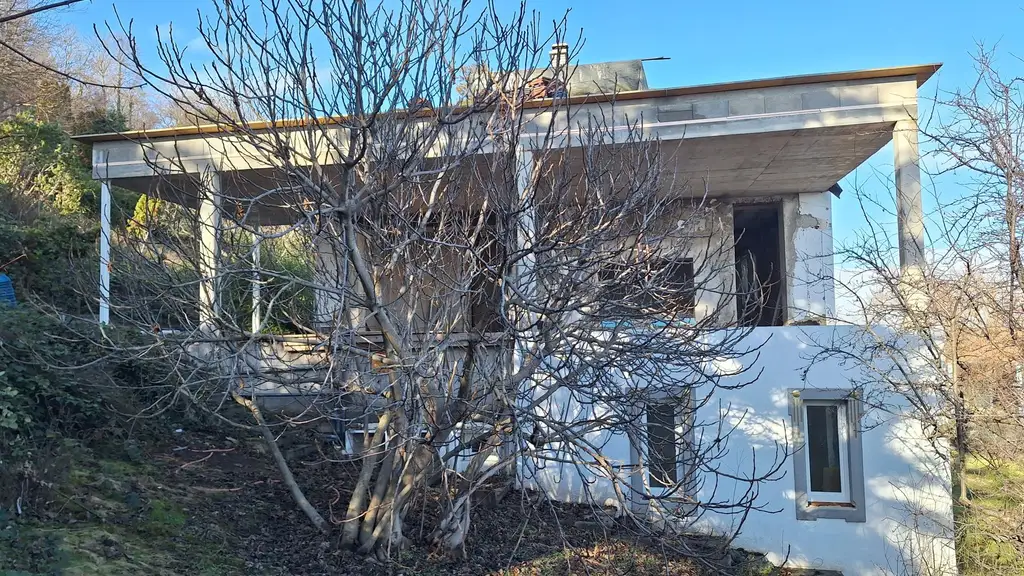 Edelrohbau-Villa, Herrschaftlicher Wohnsitz am Fuße des Kahlenberges an der Donau. Teilrestauriert entkernt und komplette Ausbauplanung.