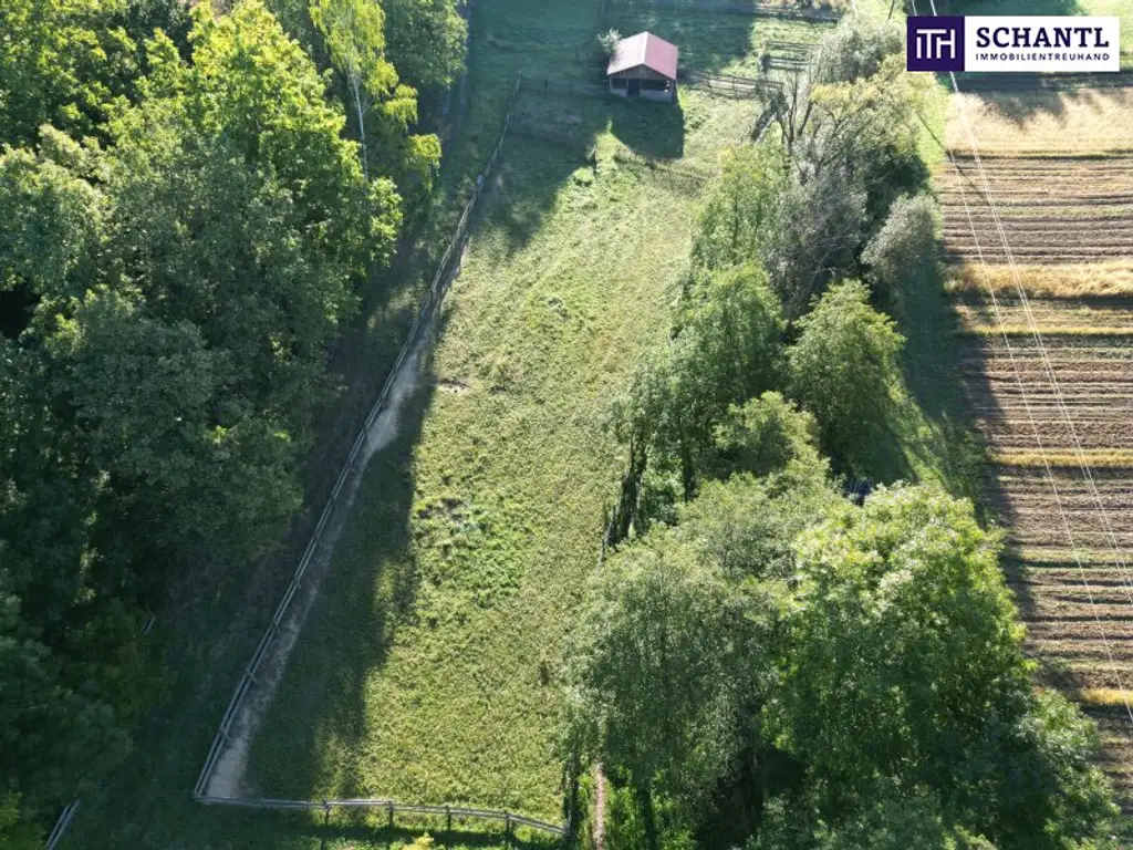 SENSATIONELLES JUWEL! Exklusiver Vierkanthof im Thermenland Steiermark – Wohnen, Reiten & Leben mit Pool und Natur!