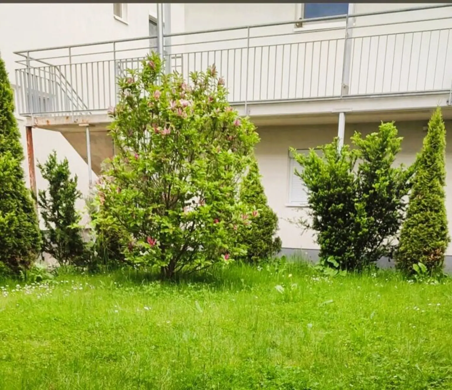 Gartenfreunde aufgepasst: Wunderschöne 3-Zimmerwohnung mit Garten zu mieten