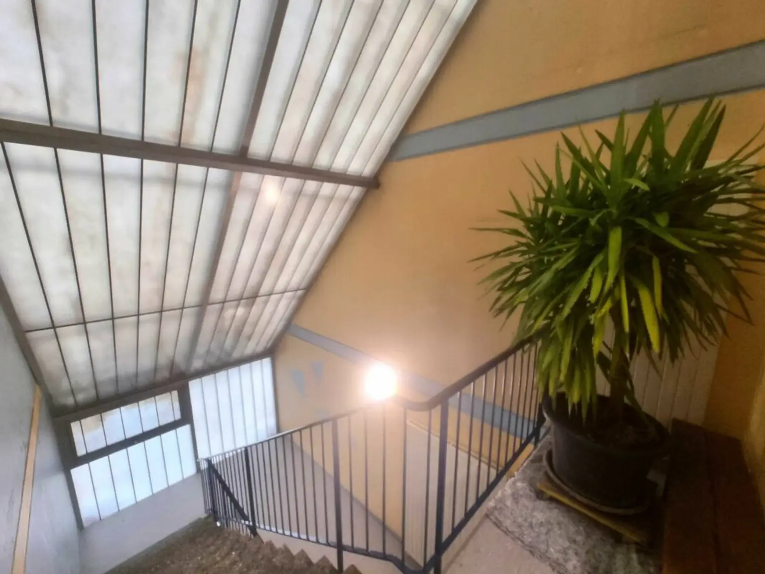 4 1/2 Zimmer Terrassen-Wohnung