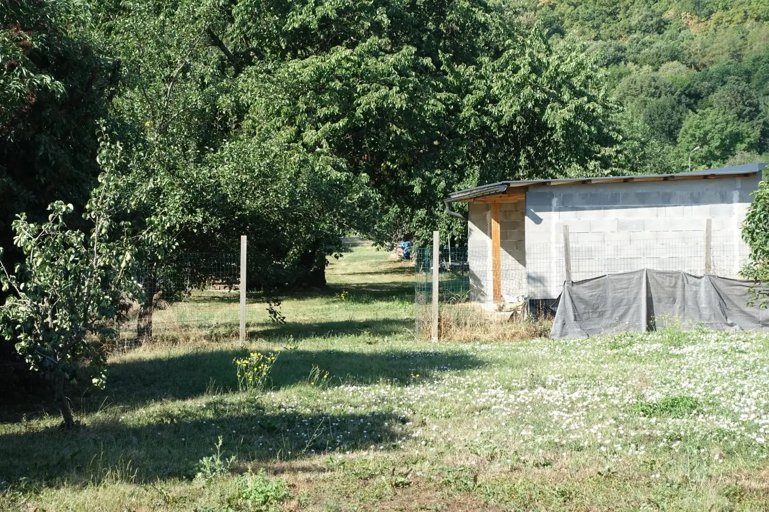 Garten