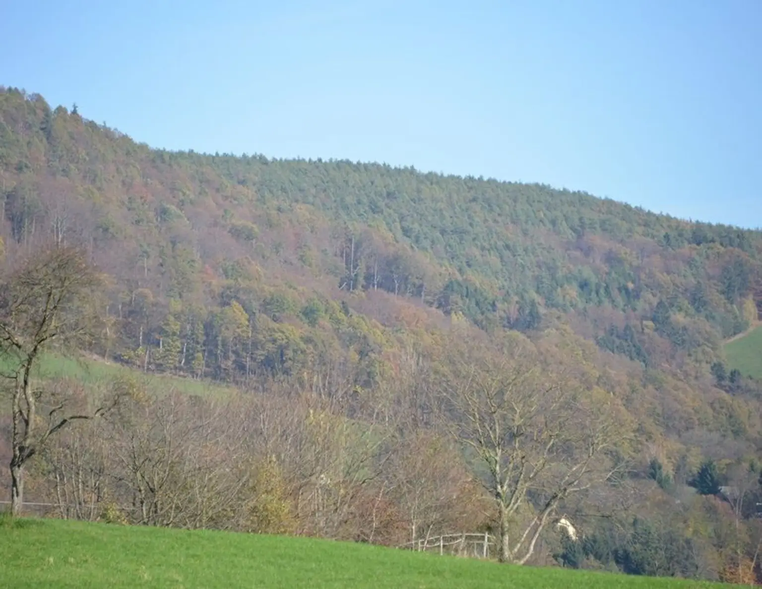 Ungewöhnlicher Baugrund mit Freiland ca. 600 m², Wochenendhütte, nahe Schöckelstraße