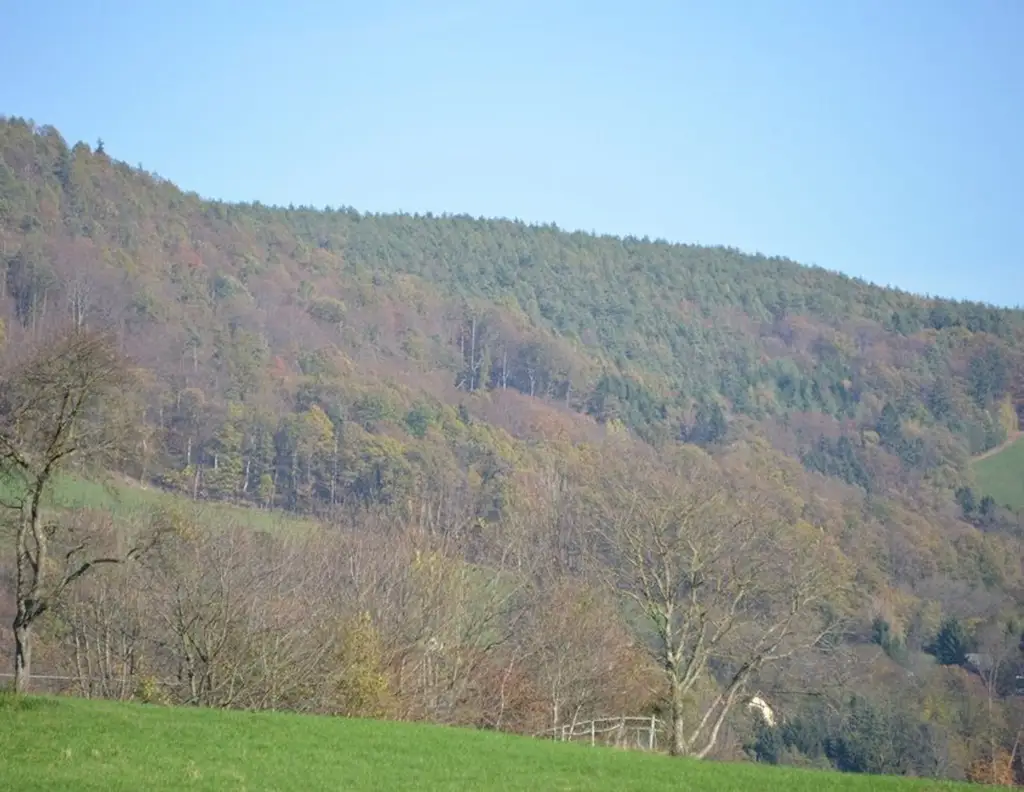 Ungewöhnlicher Baugrund mit Freiland ca. 600 m², Wochenendhütte, nahe Schöckelstraße
